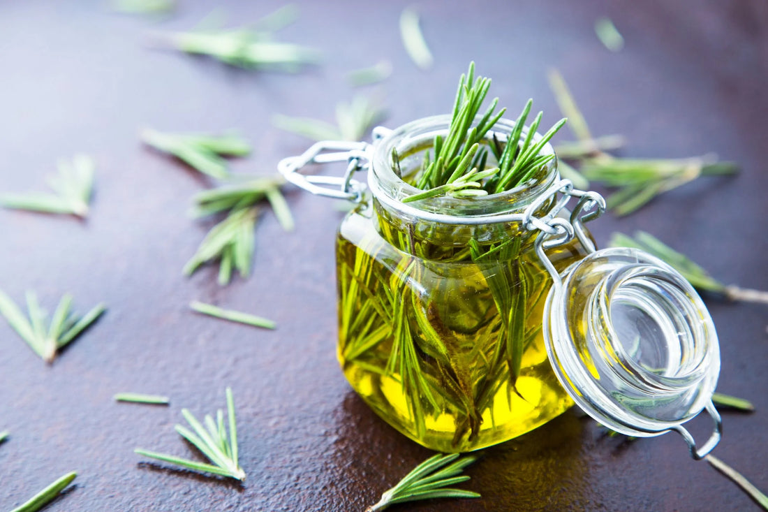 Does Rosemary Oil Help With Hair Growth? Here's What Experts Say - SENSEOFREASONS